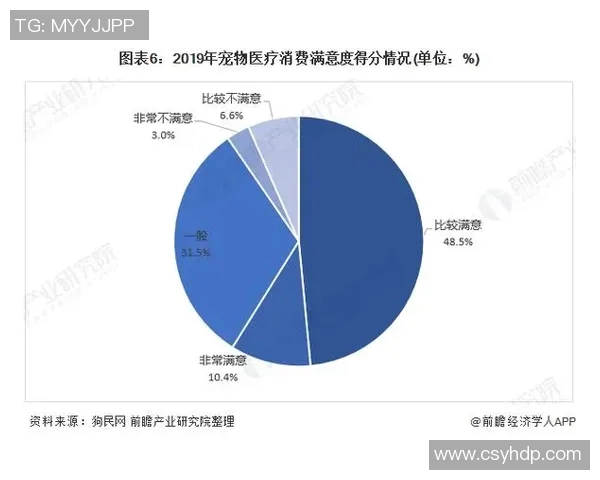 成都极限运动队的运营模式与市场趋势深度解析
