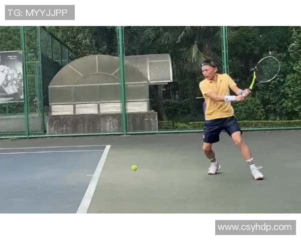 深入分析北京网球队区域防守战术及其在比赛中的应用效果